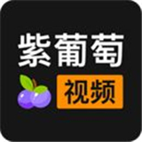 紫葡萄视频