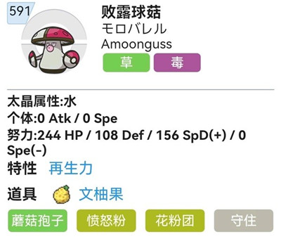 宝可梦朱紫S2双打霓虹鱼队配置参考