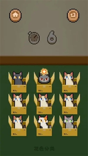 数猫猫截图3