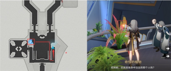 崩坏星穹铁道基座舱段黑塔币收集