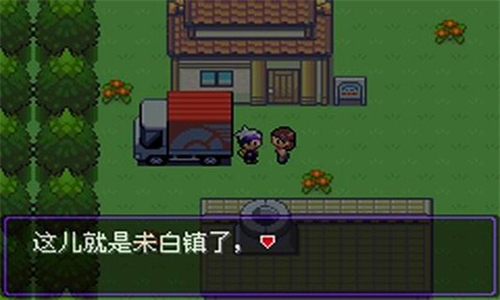口袋妖怪漆黑的魅影截图2