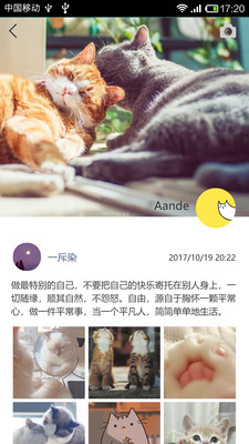 mchat