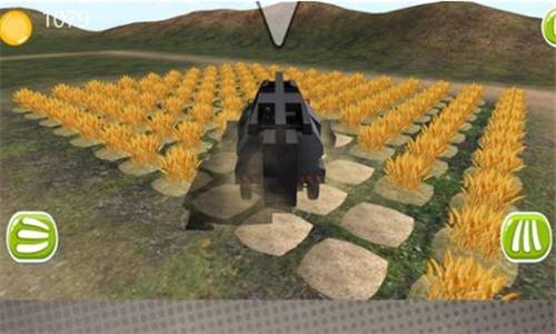 realfarmlife3D截图3