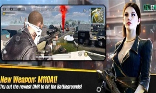 PUBGNEWSTATE截图1