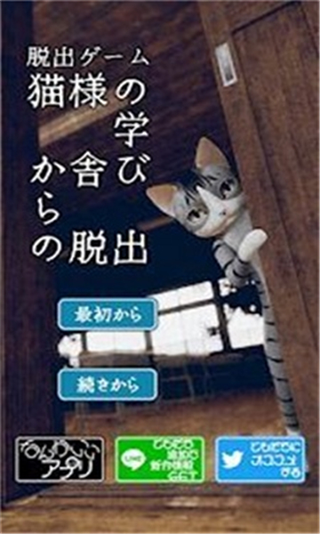 nekomanabi截图3