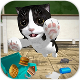 catsimulator