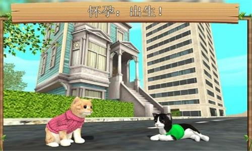 catsimulator截图2