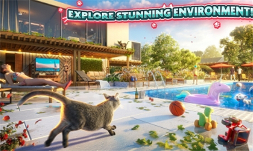 catsimulator2截图2