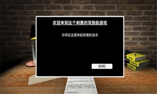 thetwins截图1