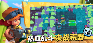 荒野乱斗安卓版下载截图5