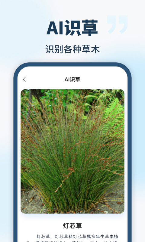 ai智能助手下载安装手机版