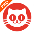 猫眼正版