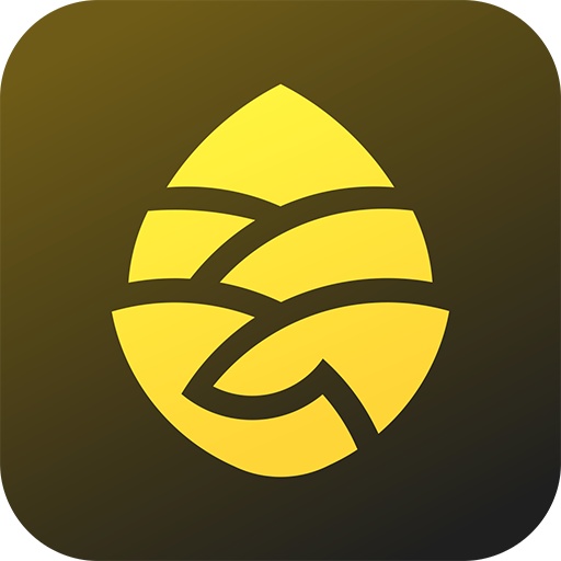 松果出行app