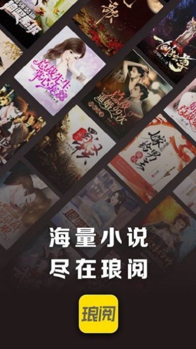 琅阅小说app截图4