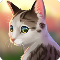 猫咪救援故事中文版