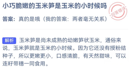 小鸡庄园今天答案 2023年7月31日