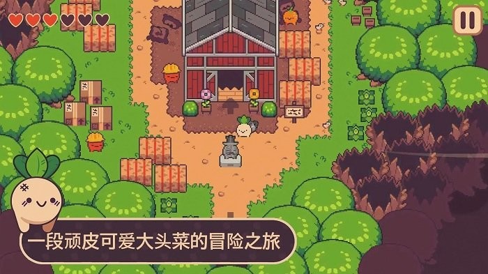 大头菜历险记截图3