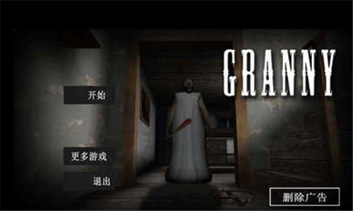 Granny5截图3