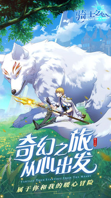 骑士之心
