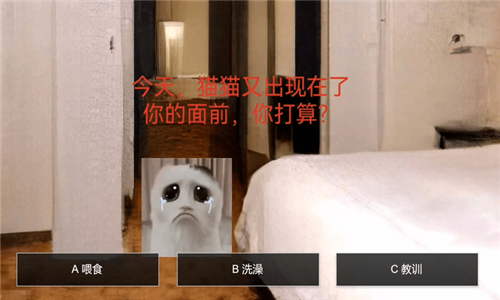 猫鼠特工猫猫惊魂游戏
