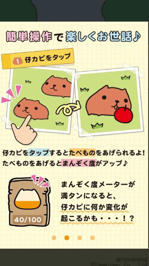 水豚先生