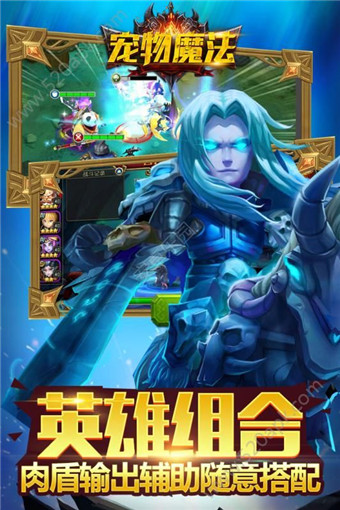 宠物魔法手游最新版截图1