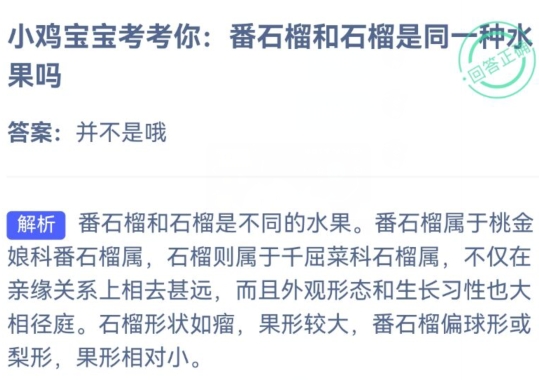 小鸡庄园今天答案 2023年10月26日