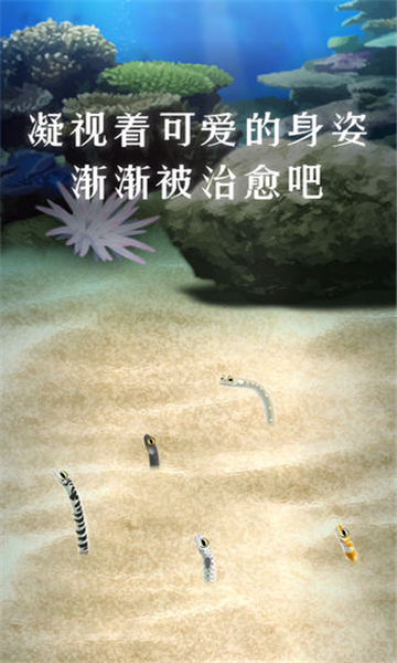 养育花园鳗的治愈安卓截图3