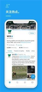 twittercom社交聊天