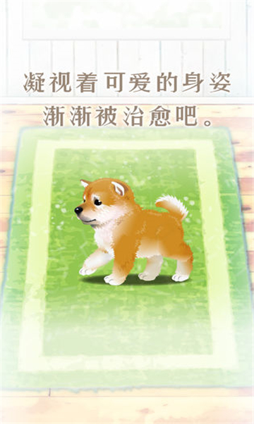 养育柴犬的治愈手游截图4