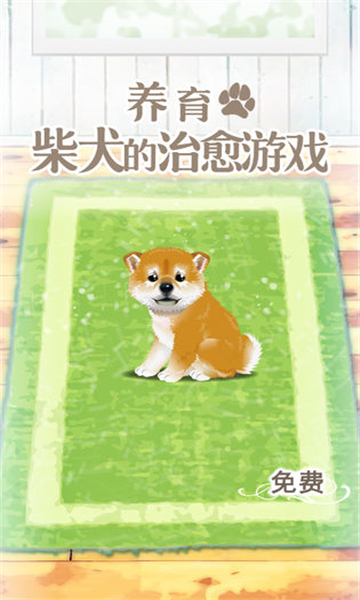 养育柴犬的治愈手游