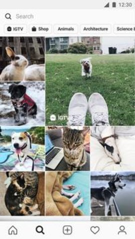 instagram中文网135.0.0.28.119截图3