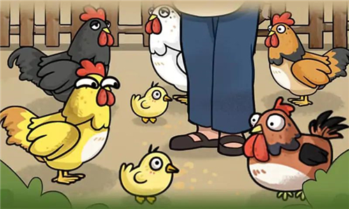 养鸡日记截图3
