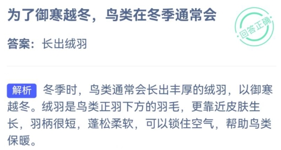 小鸡庄园今天答案 2023年11月24日
