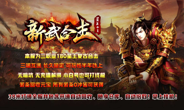 新武星王合击截图1
