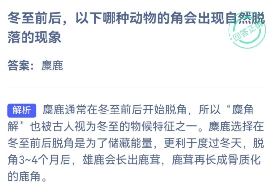 小鸡庄园今天答案 2023年12月22日