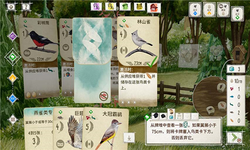 展翅翱翔截图3