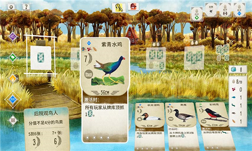展翅翱翔中文版截图1