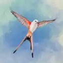 展翅翱翔中文版