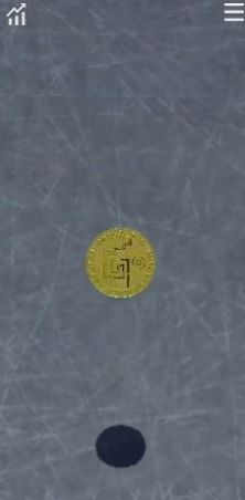 抛个幸运币截图1