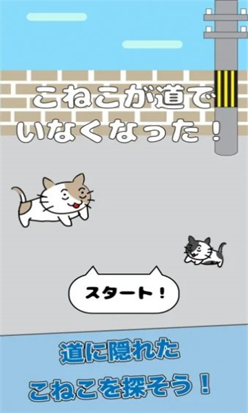 小猫不见了安卓