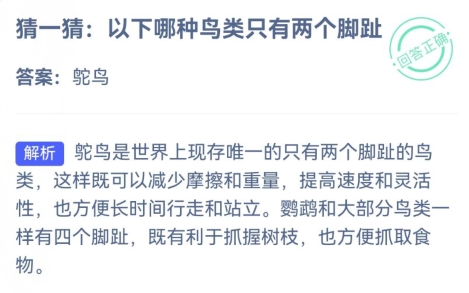 小鸡庄园今天答案 2024年3月13日