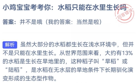 小鸡庄园今天答案 2024年3月25日