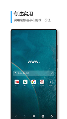 极速浏览器app截图4