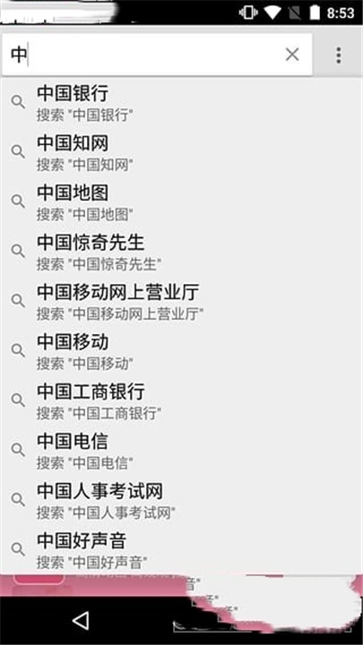 网极浏览器截图6