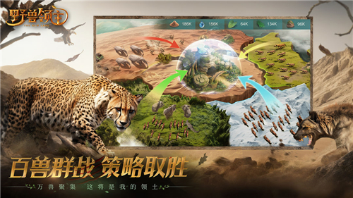野兽领主新世界安卓版截图2