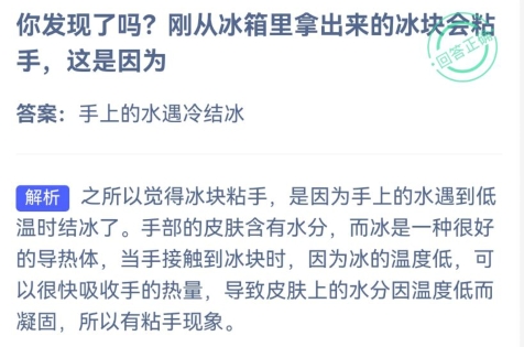 小鸡庄园今天答案 2024年4月24日