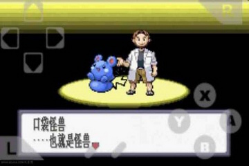 口袋妖怪终极红宝石截图1