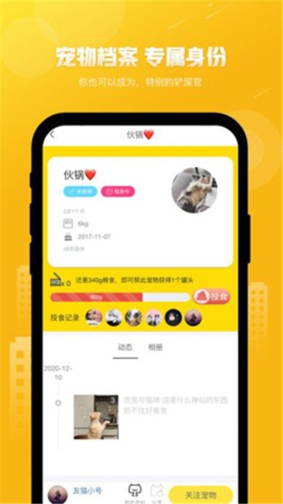 友猫截图1