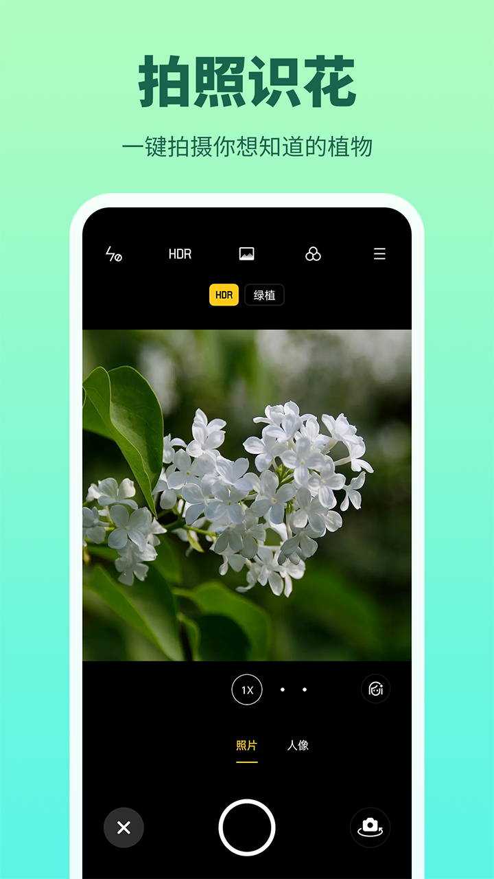 花多多app截图2